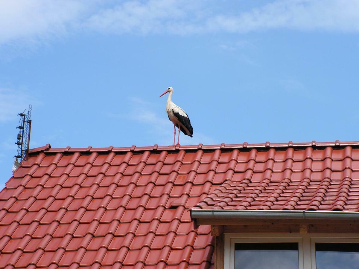 Winnica Na Lesnej Polanie Zabor エクステリア 写真